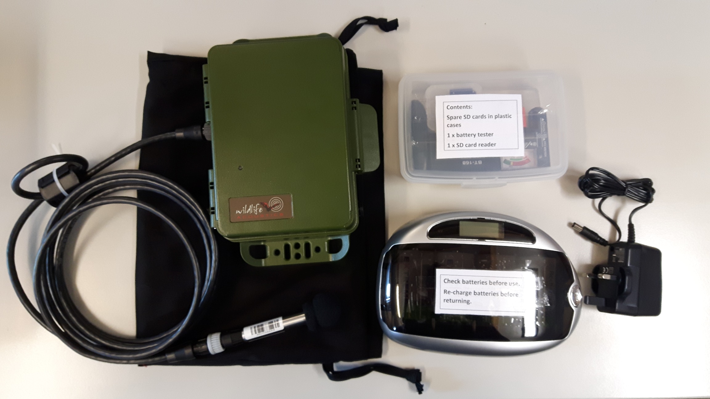 Devon residents go batty for science this summer The Exeter Daily